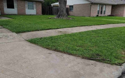 Photo of Alondra B.'s yard after getting lawn care in Belleview, FL