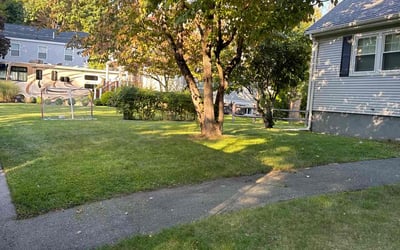 Photo of Summer J.'s yard after getting lawn care in Wakefield, MA