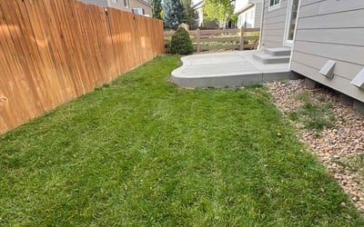 Photo of Carleen T.'s yard after getting lawn care in Aurora, CO
