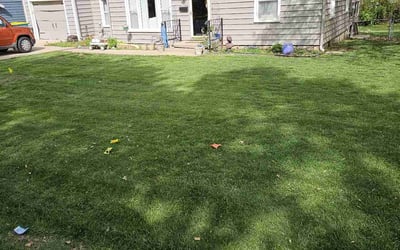 Photo of Dominique M.'s yard after getting lawn care in Paola, KS