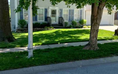 Photo of Uhodari H.'s yard after getting lawn care in Platte City, MO