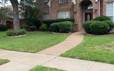 Photo of Angela E.'s yard after getting lawn care in Balch Springs, TX