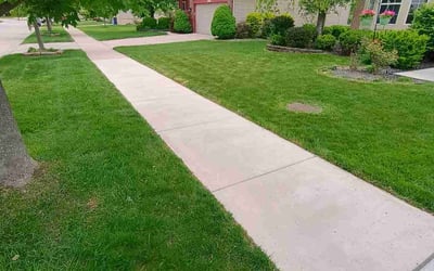Photo of Glorie A.'s yard after getting lawn care in Washington, DC