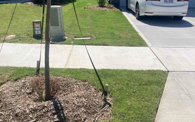 Photo of Christopher B.'s yard after getting lawn care in Atlantic City, NJ