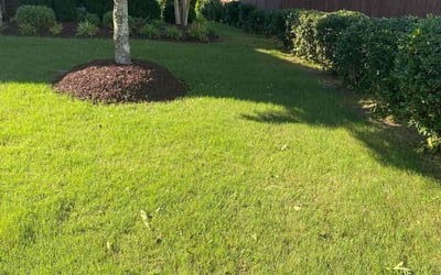 Photo of Nicole W.'s yard after getting lawn care in Nanuet, NY