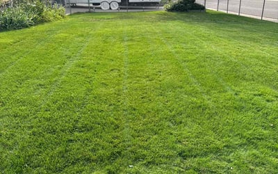 Photo of Nick P.'s yard after getting lawn care in Castle Rock, CO