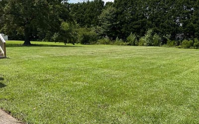 Photo of Sarah C.'s yard after getting lawn care in Goldsboro, NC