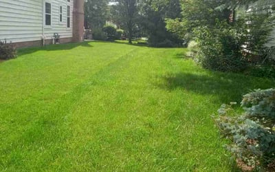 Photo of Hyun P.'s yard after getting lawn care in New Albany, OH