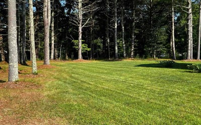 Photo of Karen F.'s yard after getting lawn care in Wakefield, RI