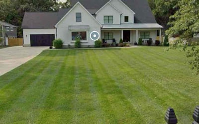 Photo of Tiara G.'s yard after getting lawn care in East Orange, NJ