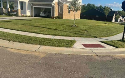 Photo of Samantha S.'s yard after getting lawn care in Union, KY