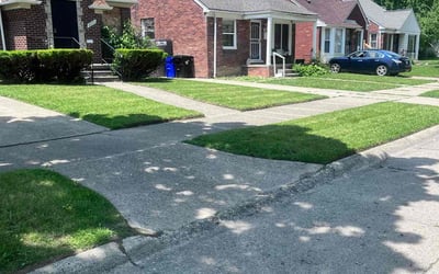 Photo of Christian G.'s yard after getting lawn care in Detroit, MI