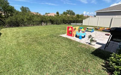 Photo of Claire E.'s yard after getting lawn care in Apollo Beach, FL