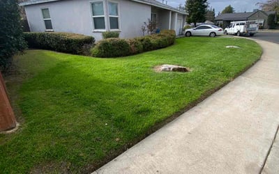 Photo of Diana P.'s yard after getting lawn care in Merced, CA