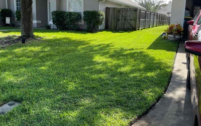 Photo of Molly P.'s yard after getting lawn care in Oakleaf Plantation, FL