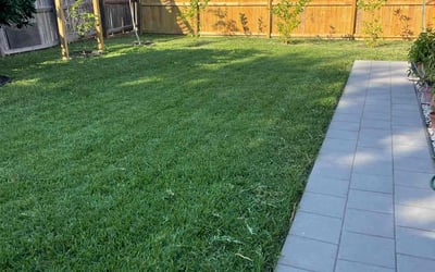 Photo of John G.'s yard after getting lawn care in Corpus Christi, TX