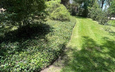 Photo of Nilda F.'s yard after getting lawn care in Denison, TX