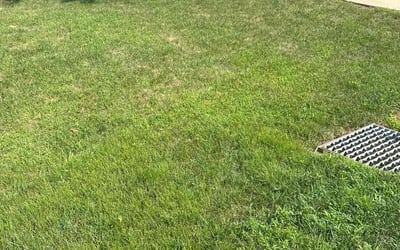 Photo of Timothy K.'s yard after getting lawn care in Hernando, MS