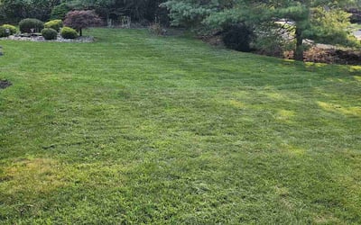 Photo of Stephanie J.'s yard after getting lawn care in West Orange, NJ