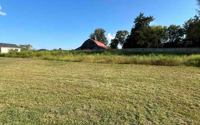 Photo of Chris S.'s yard after getting lawn care in Lockport, IL