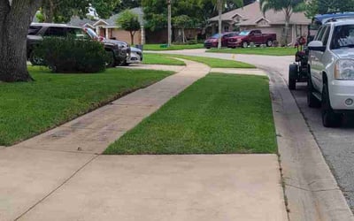 Photo of Jennifer M.'s yard after getting lawn care in DeBary, FL