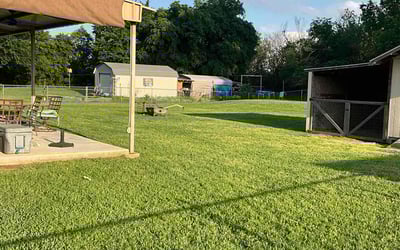 Photo of Gwen m.'s yard after getting lawn care in Springtown, TX