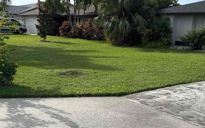 Photo of Jessica Y.'s yard after getting lawn care in Lake Elsinore, CA