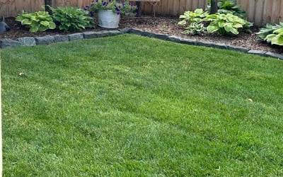 Photo of Etienne B.'s yard after getting lawn care in Birmingham, MI