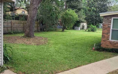 Photo of Michael C.'s yard after getting lawn care in Fort Walton Beach, FL