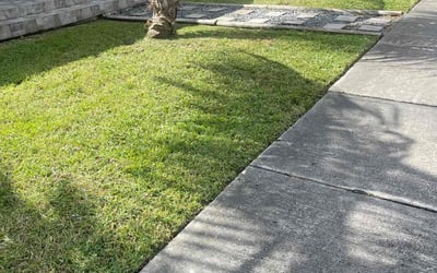 Photo of Henry L.'s yard after getting lawn care in Miami, FL