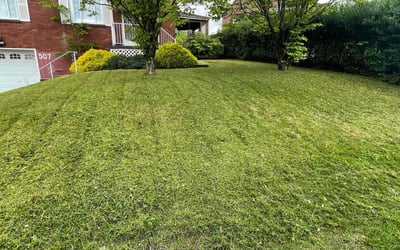 Photo of Aaron W.'s yard after getting lawn care in North Versailles, PA
