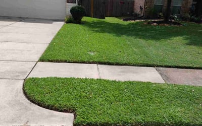 Photo of Yoko I.'s yard after getting lawn care in Spring, TX