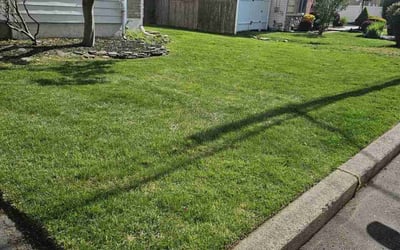 Photo of Marieta D.'s yard after getting lawn care in Colonia, NJ
