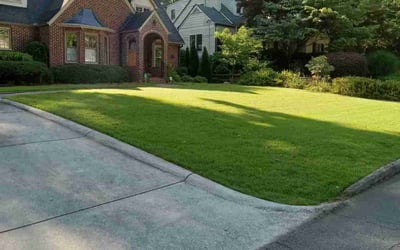 Photo of Angel O.'s yard after getting lawn care in Rogersville, TN