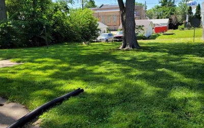 Photo of Peggy e.'s yard after getting lawn care in Moline, IL