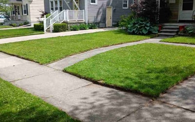 Photo of Modibo K.'s yard after getting lawn care in Cleburne, TX