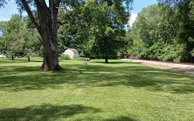 Photo of Scharell M.'s yard after getting lawn care in Grandview, MO