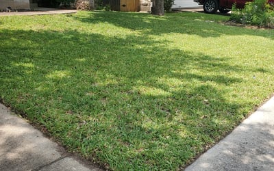 Photo of Marco S.'s yard after getting lawn care in Henderson, TX