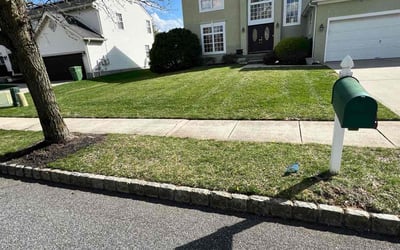 Photo of Chris F.'s yard after getting lawn care in Swedesboro, NJ