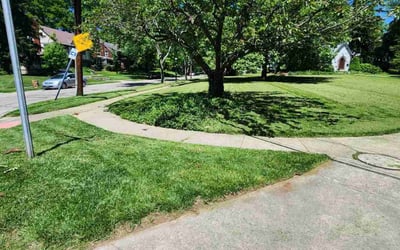 Photo of Bibin M.'s yard after getting lawn care in East Amherst, NY