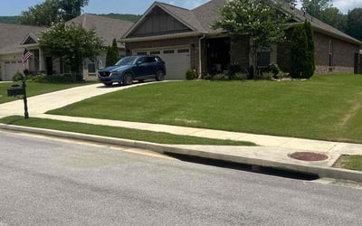 Photo of Jenn W.'s yard after getting lawn care in Saint Paul, MN