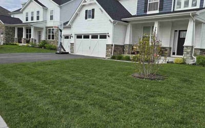 Photo of Reggie C.'s yard after getting lawn care in Algonquin, IL