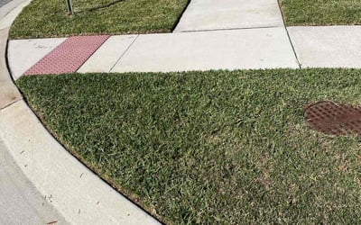 Photo of Benjamin P.'s yard after getting lawn care in Saint Simons Island, GA