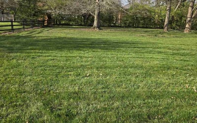 Photo of Erica W.'s yard after getting lawn care in Oxford, OH