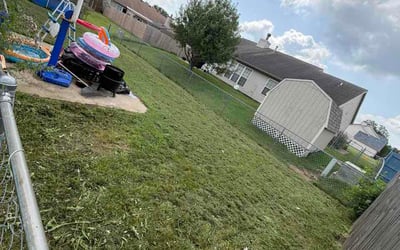 Photo of Laura D.'s yard after getting lawn care in Nixa, MO