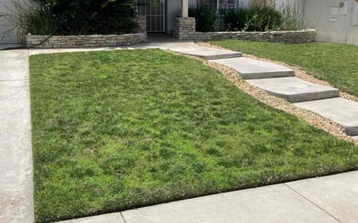 Photo of Davin S.'s yard after getting lawn care in Murrieta, CA