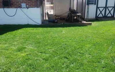 Photo of Sonya W.'s yard after getting lawn care in Philadelphia, PA