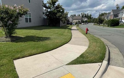 Photo of Arnold C.'s yard after getting lawn care in Clyde, NC
