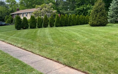 Photo of Ryan V.'s yard after getting lawn care in Burlington, CT