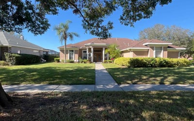 Photo of Erica B.'s yard after getting lawn care in Brandon, FL